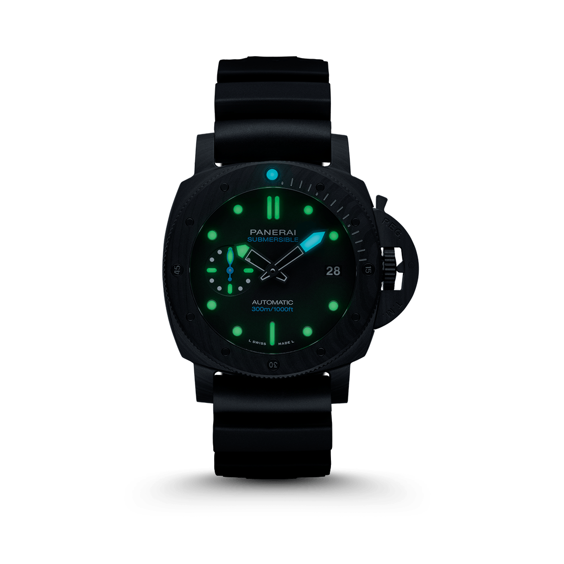 PAM01591