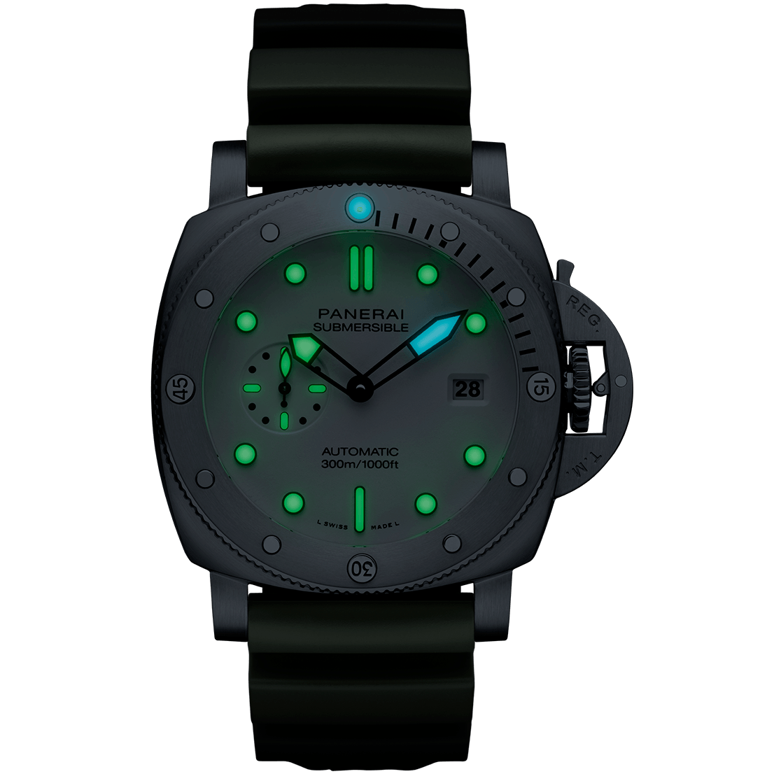 PAM01595