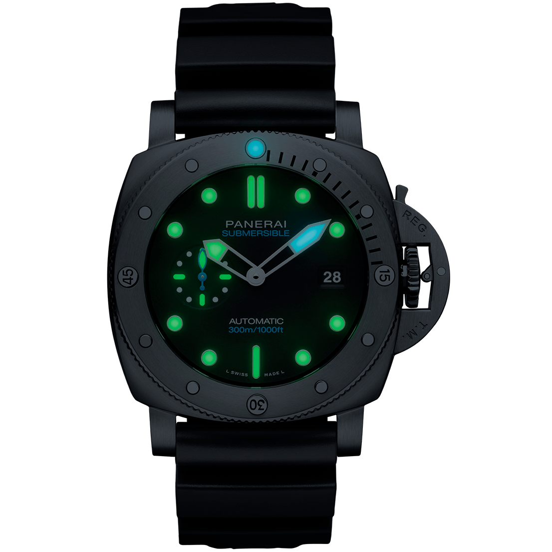 PAM01596