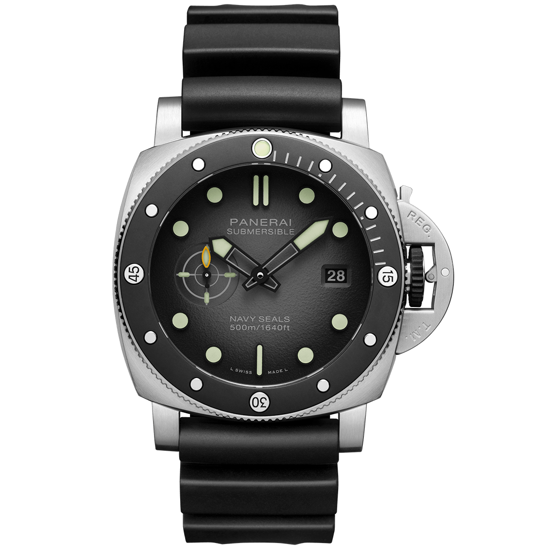 PAM01738_1