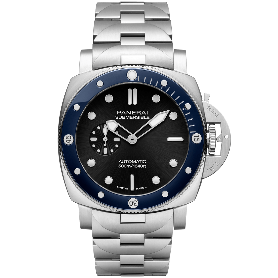 PAM01756_1